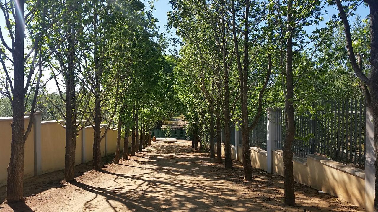 Amberhall Guesthouse Γιοχάνεσμπουργκ Εξωτερικό φωτογραφία